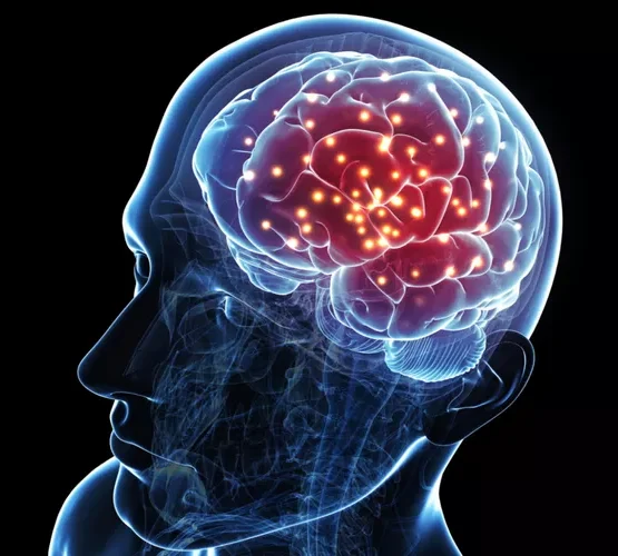 signs and symptoms of autism new signs and symptoms of autism new