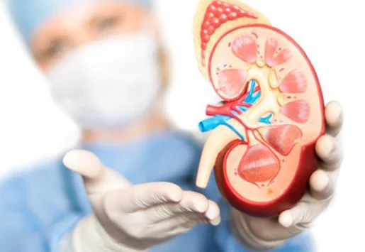 What is Chronic Kidney Disease What is Chronic Kidney Disease ?