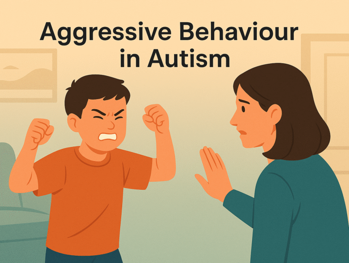 Aggressive Behaviour In Autism: Causes, Triggers & How To Manage It Compassionately 83 Aggressive Behaviour in Autism