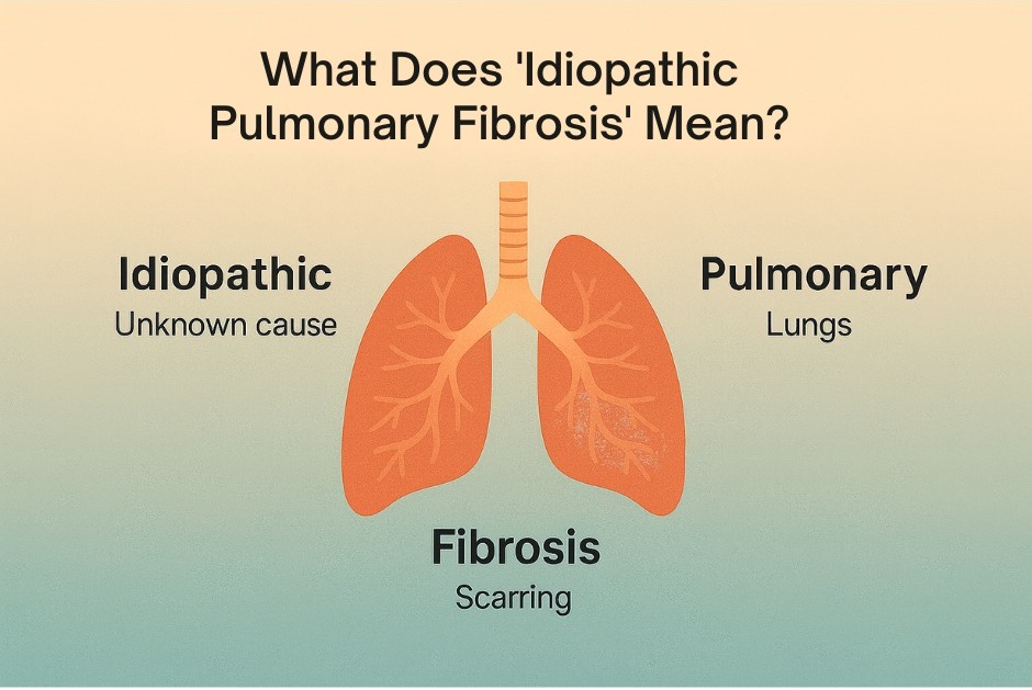 What Does “Idiopathic Pulmonary Fibrosis” Mean?