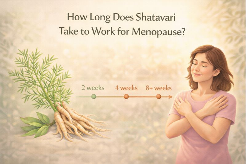 Shatavari For Menopause: Benefits, Dosage & How To Take It Naturally 9 How Long Does Shatavari Take to Work for Menopause?
