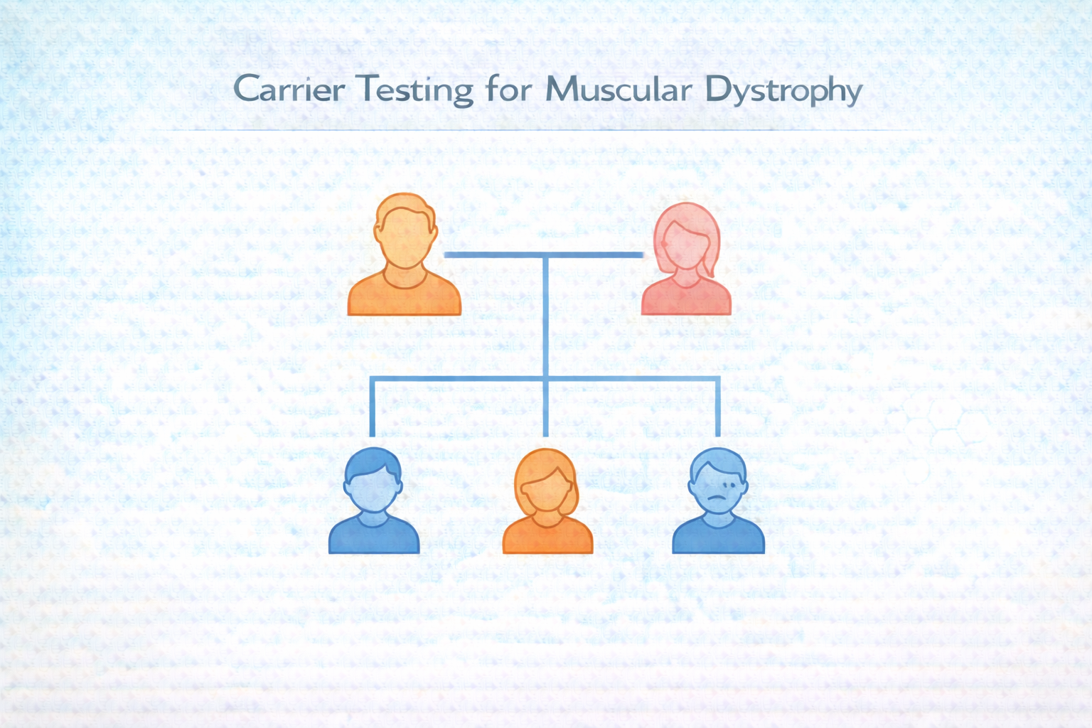 Carrier Testing for Muscular Dystrophy