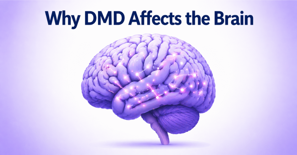 Understanding DMD Cognitive Challenges: A Caregiver’s Guide To Learning And Development 8 Why DMD Affects the Brain
