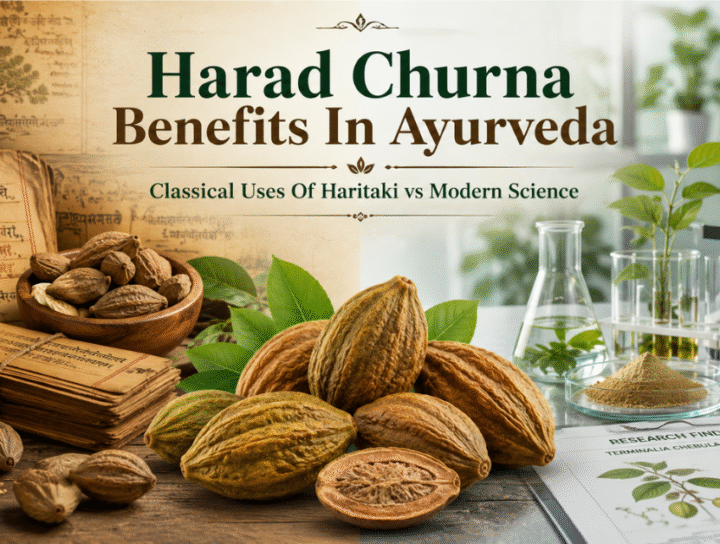 Harad Churna Benefits In Ayurveda: Classical Uses Of Haritaki vs Modern Science 71 Harad Churna Benefits In Ayurveda - Classical Uses Of Haritaki vs Modern Science