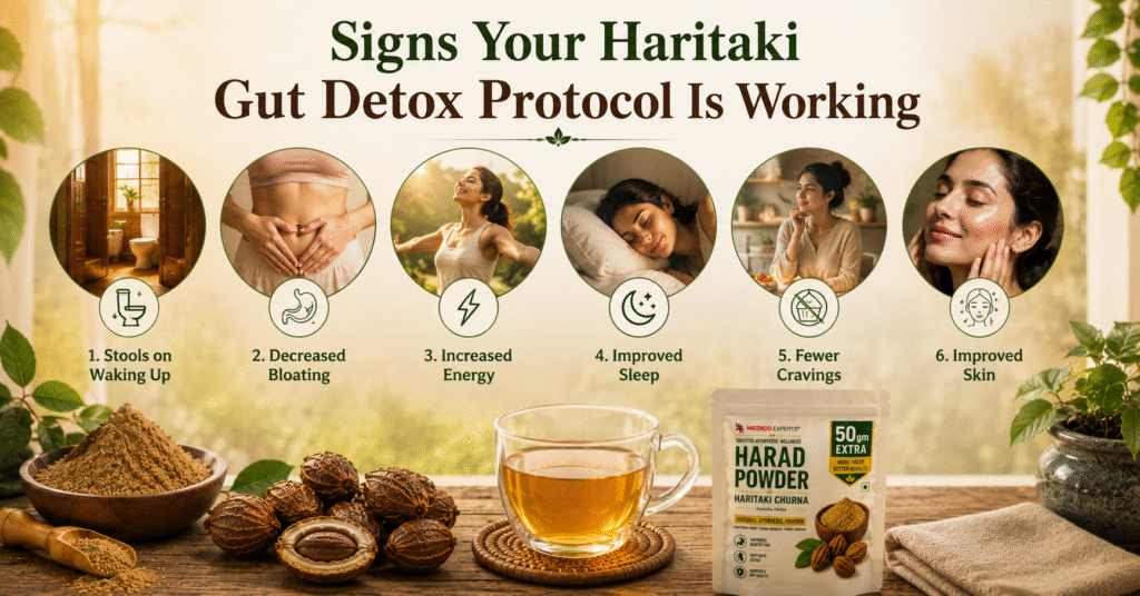 Signs Your Haritaki Gut Detox Protocol Is Working
