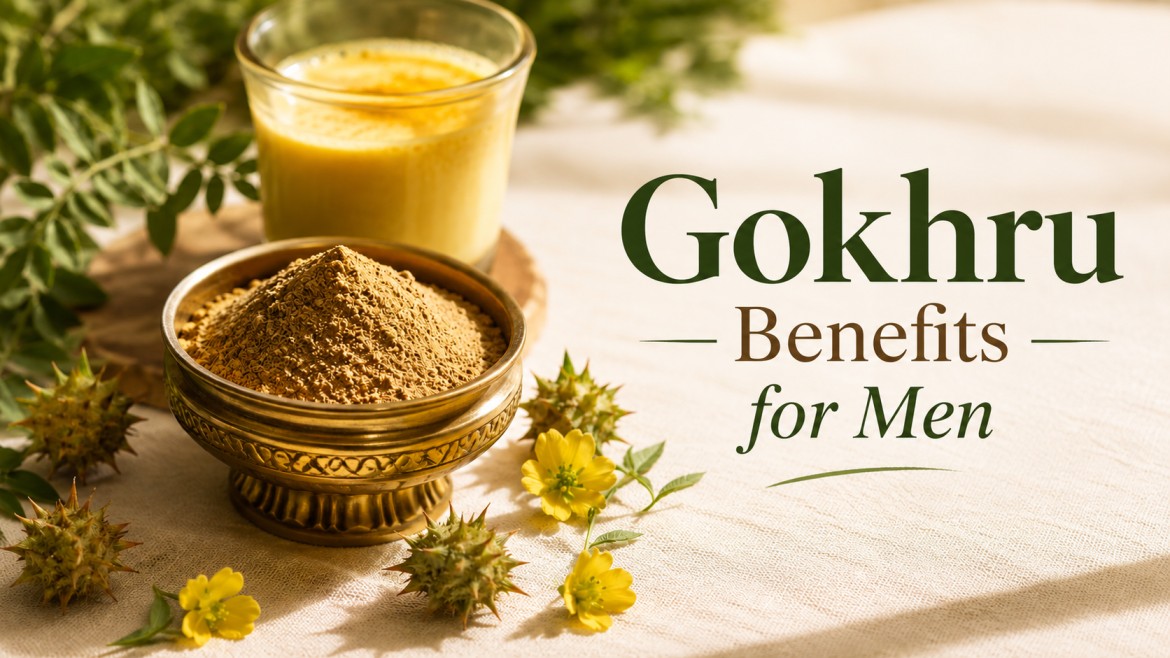 Gokhru Benefits for Men , Gokhru Gokshura powder in brass bowl with Tribulus terrestris fruit for men's vitality