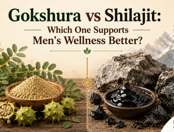 Gokshura vs Shilajit - Which One Supports Men’s Wellness Better